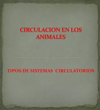 circulacion en los animales