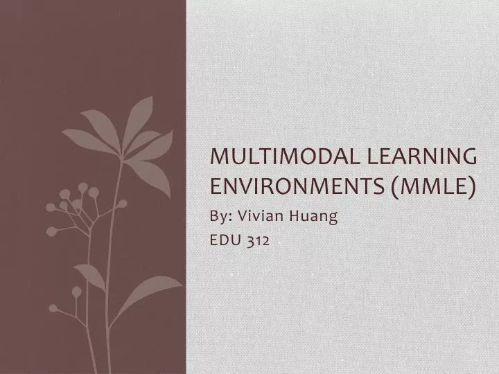 multimodal learning environments mmle