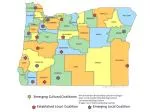 Established Local Coalition - slide 1