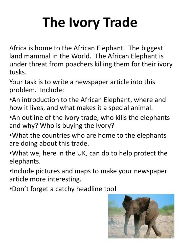 the ivory trade