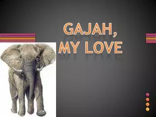 GAJAH, MY LOVE