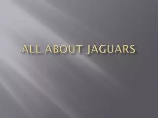 All About Jaguars