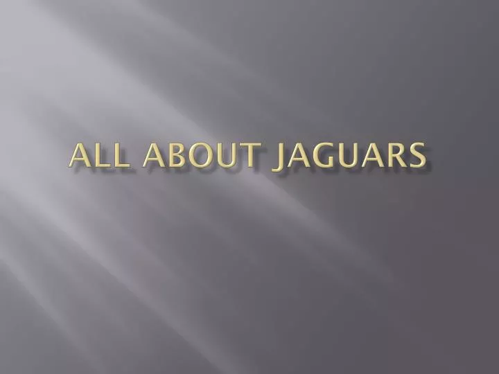 all about jaguars