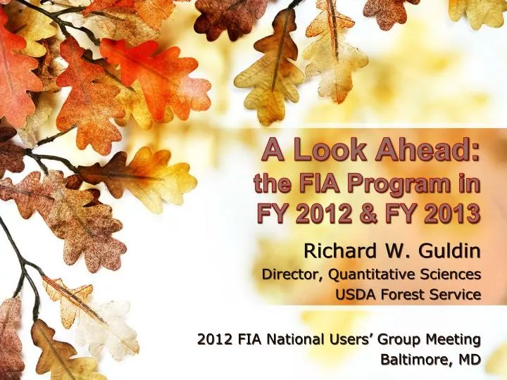 a look ahead the fia program in fy 2012 fy 2013