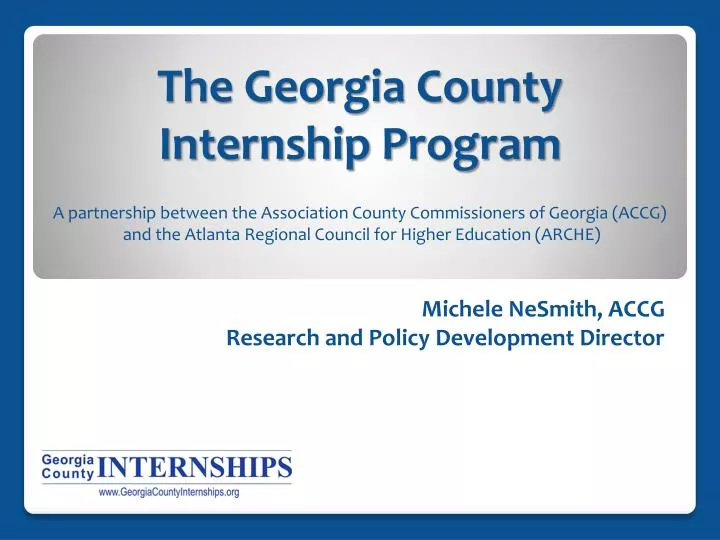 the georgia county internship program