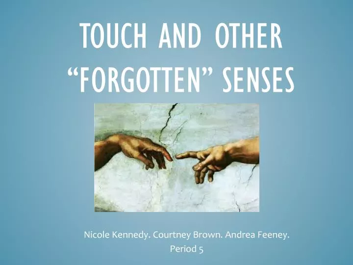 touch and other forgotten senses