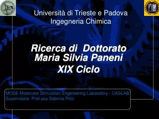universit di trieste e padova ingegneria chimica