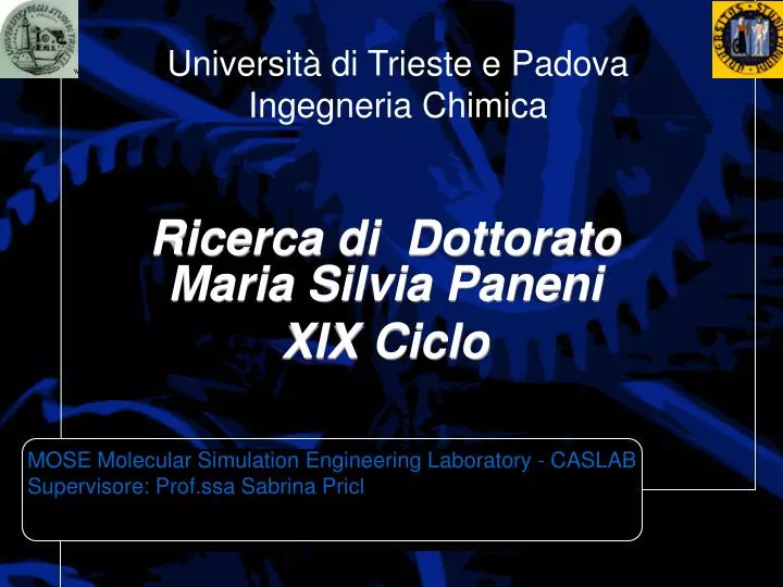 universit di trieste e padova ingegneria chimica