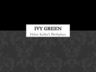 Ivy Green