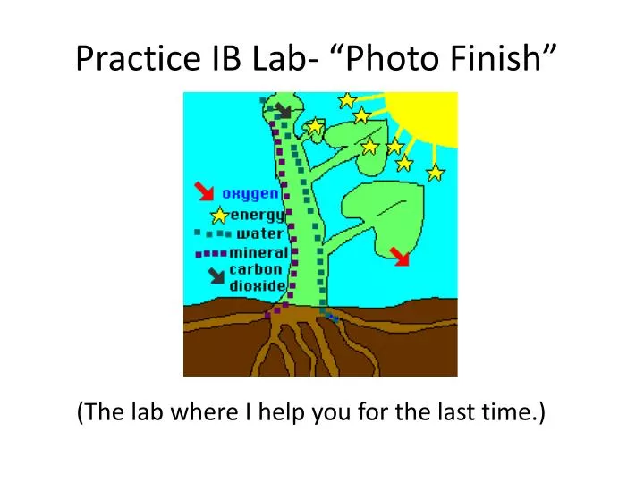 practice ib lab photo finish