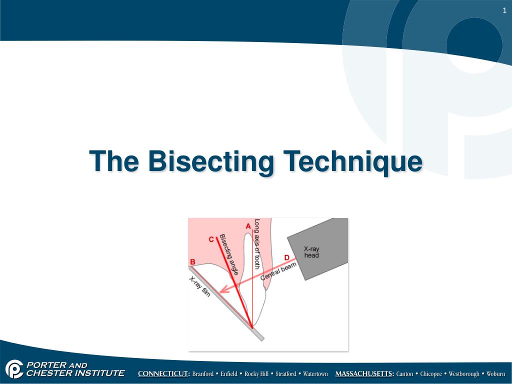 PPT - The Bisecting Technique PowerPoint Presentation, free download ...