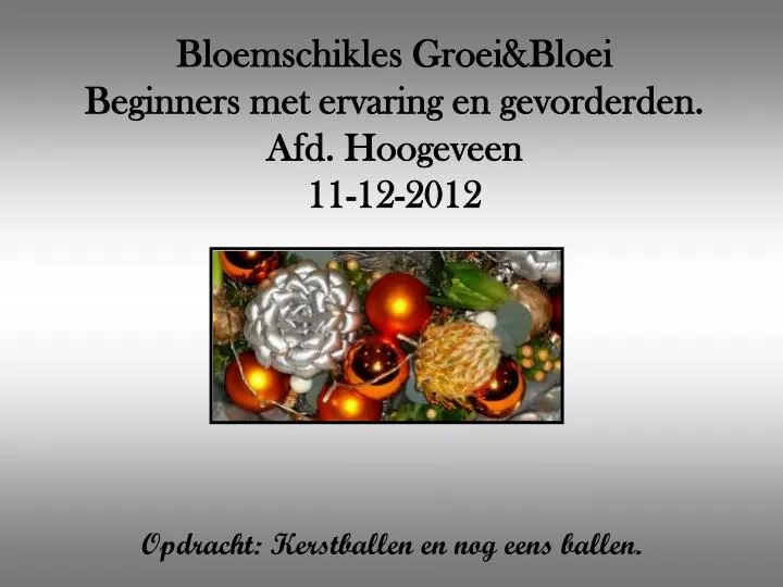 bloemschikles groei bloei beginners met ervaring en gevorderden afd hoogeveen 11 12 2012
