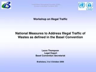 Workshop on Illegal Traffic
