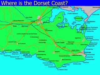 Where is the Dorset Coast?