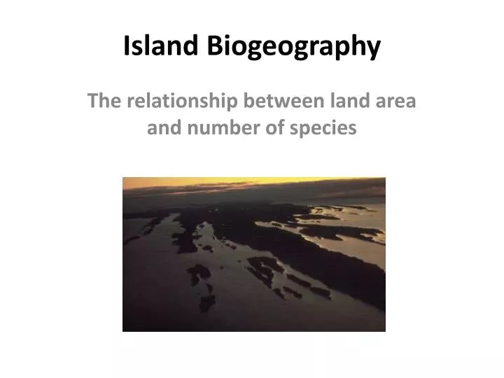 island biogeography