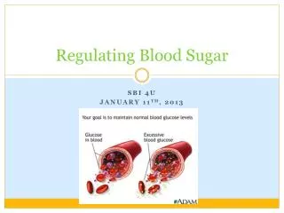 Regulating Blood Sugar
