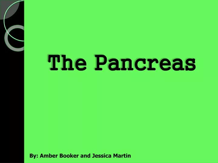 the pancreas