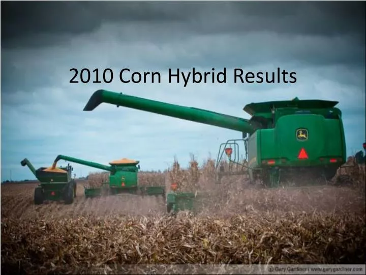 2010 corn hybrid results