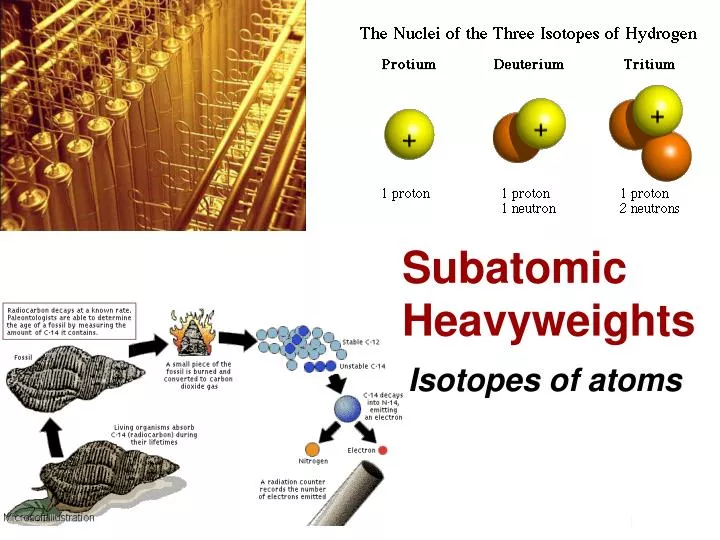 subatomic heavyweights
