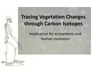 Tracing Vegetation Changes through Carbon Isotopes