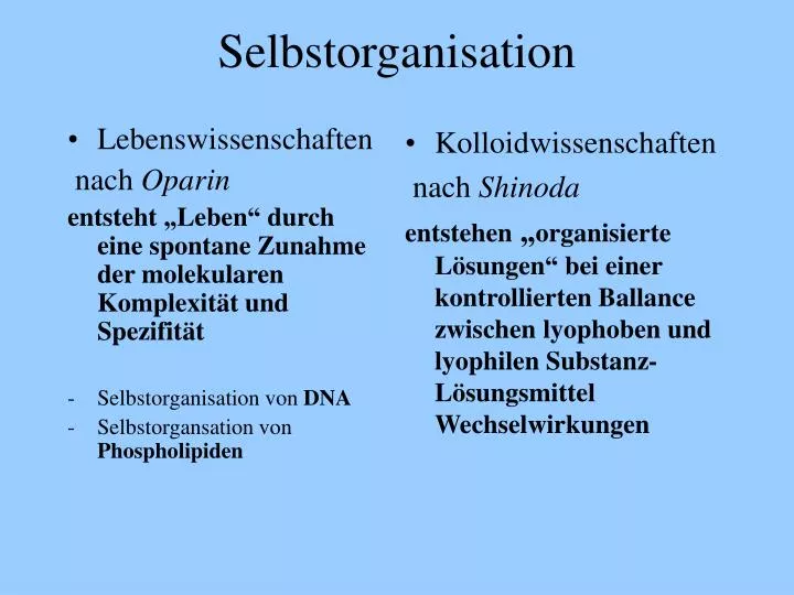 selbstorganisation