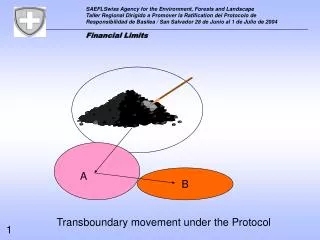 Transboundary movement under the Protocol