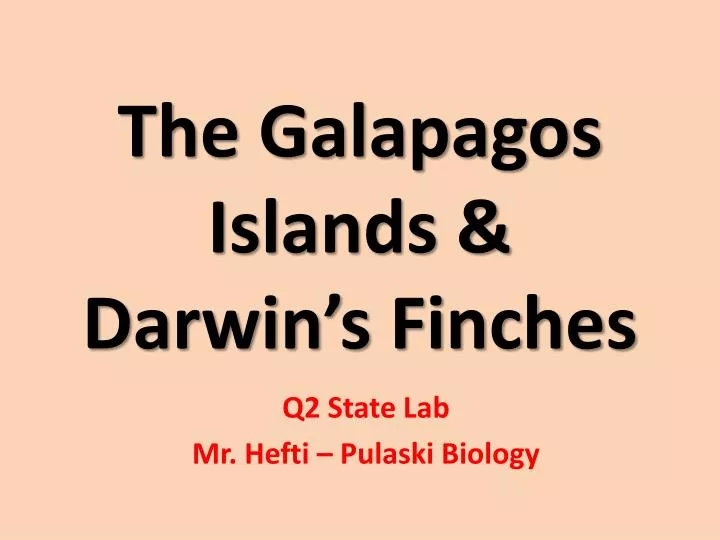 the galapagos islands darwin s finches