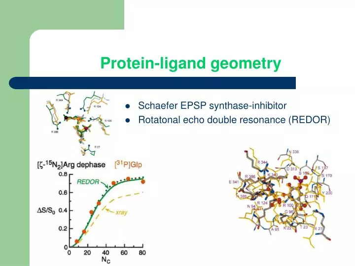 protein ligand geometry