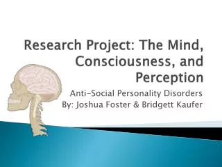 Research Project: The Mind, Consciousness, and Perception