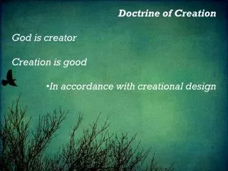 Doctrine of Creation God is creator Creation is good In accordance with creational design