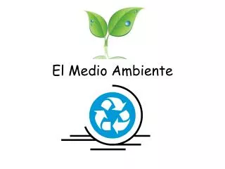 El Medio Ambiente