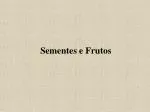 Sementes e Frutos - slide 1