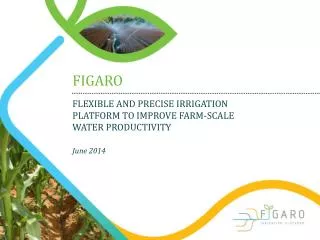 FLEXIBLE AND PRECISE IRRIGATION PLATFORM TO IMPROVE FARM-SCALE WATER PRODUCTIVITY