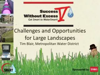 Challenges and Opportunities for Large Landscapes