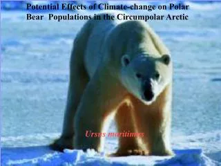 Potential Effects of Climate-change on Polar Bear 	Populations in the Circumpolar Arctic