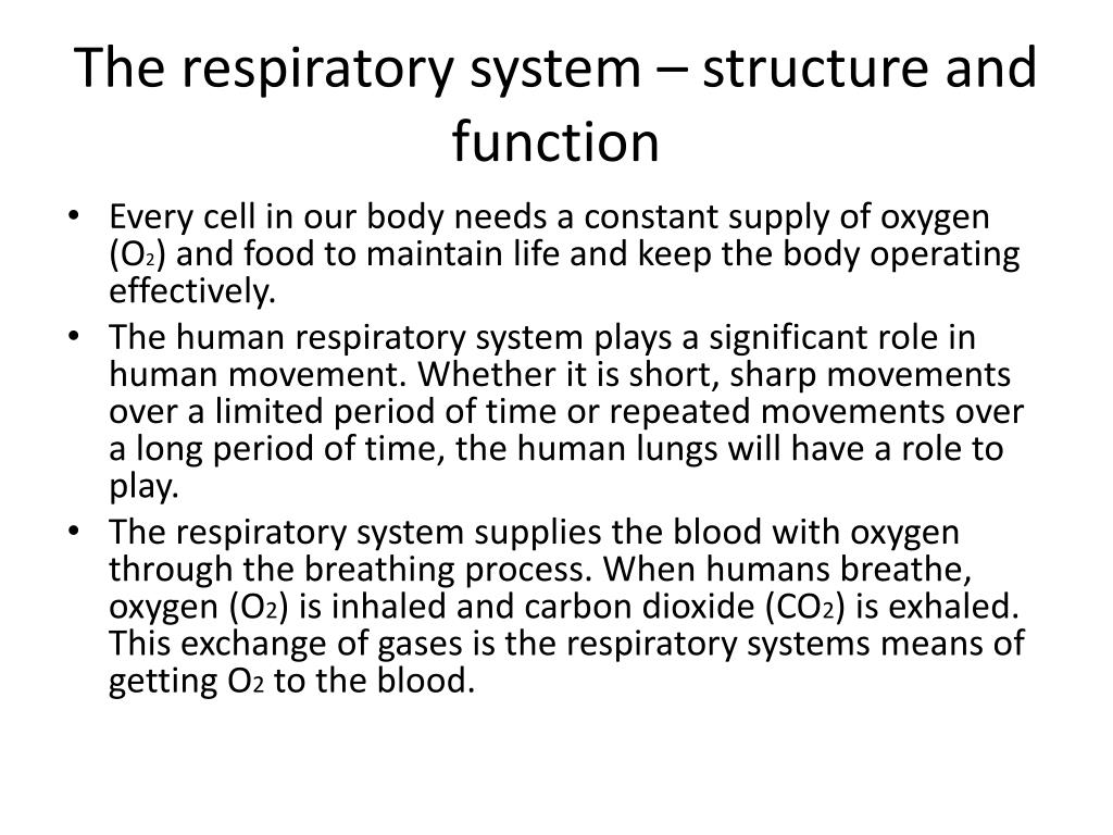 Respiratory system visual data 8