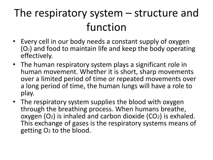 the respiratory system structure and function