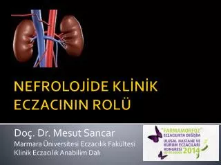 do dr mesut sancar marmara niversitesi eczac l k fak ltesi klinik eczac l k anabilim dal