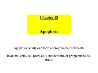 Chapter 18 Apoptosis