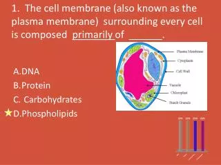 DNA Protein Carbohydrates Phospholipids