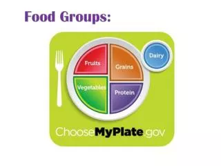 The nutrients we need in our daily diet are found in the 5 food groups.