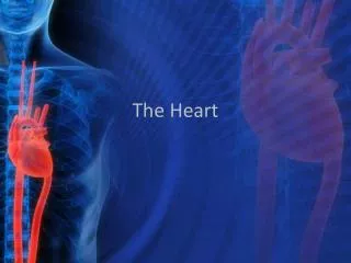 the heart