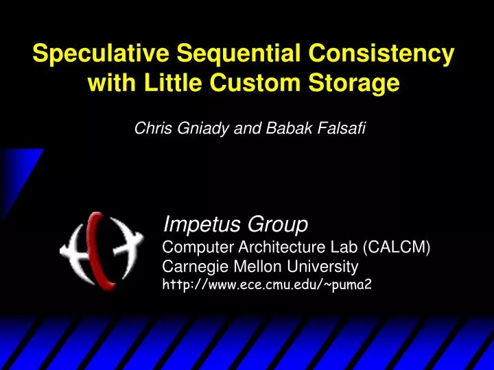 speculative sequential consistency with little custom storage