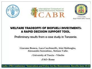 WELFARE TRADEOFFS OF BIOFUELS INVESTMENTS: A RAPID DECISION SUPPORT TOOL .