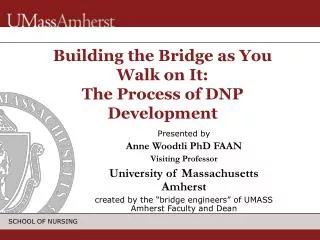 Building the Bridge as You Walk on It: The Process of DNP Development