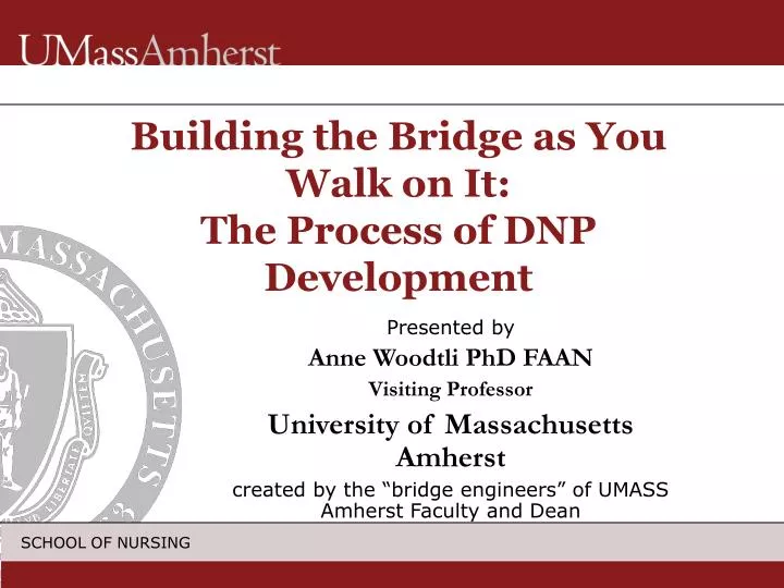 building the bridge as you walk on it the process of dnp development