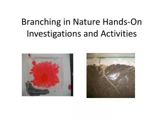 Branching in Nature Hands-On Investigations and Activities