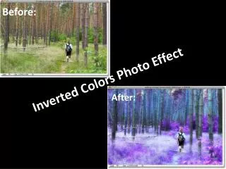 Inverted Colors Photo Effect