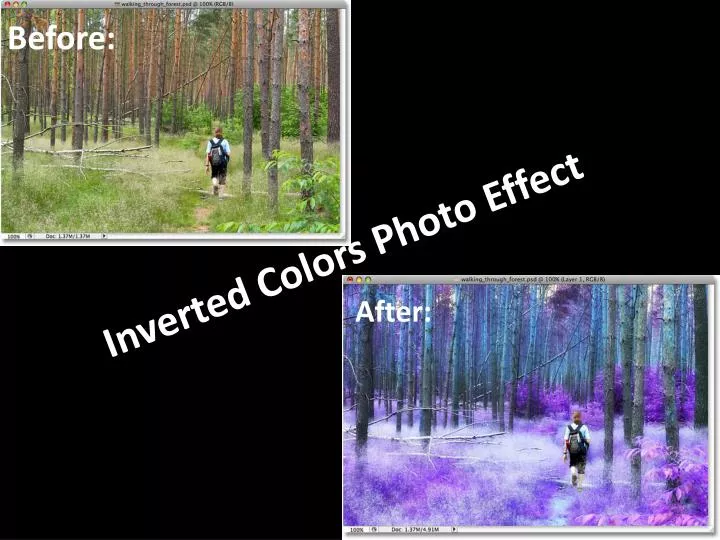 inverted colors photo effect
