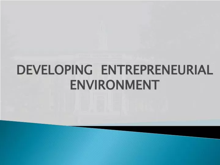 developing entrepreneurial environment